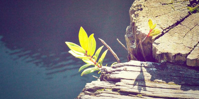 从护肤到护心：揭秘希希美亚红色主题下的东方养生哲学与美容技巧