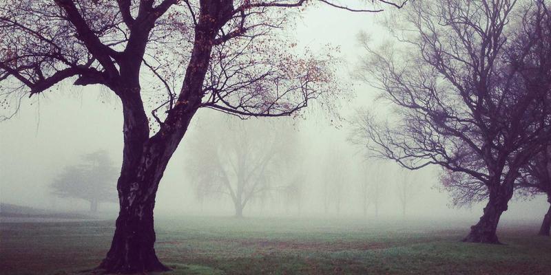 从美容技巧到时尚穿搭：希希美亚如何以红色主题革新男士高端护肤体验