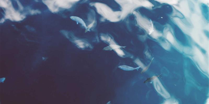 希希美亚6:解锁护肤与时尚穿搭的协同美学,打造360度精致形象