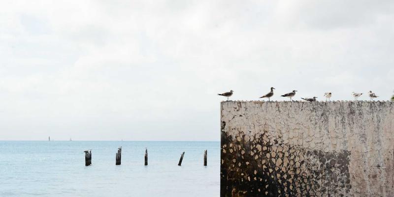 希希美亚87：融合护肤智慧与时尚穿搭的现代美学指南