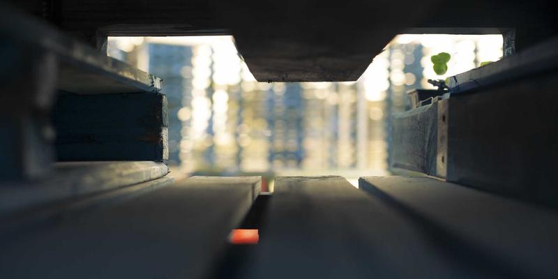 希希美亚97：以红色能量开启护肤新纪元，揭秘肌肤焕活的科学密码