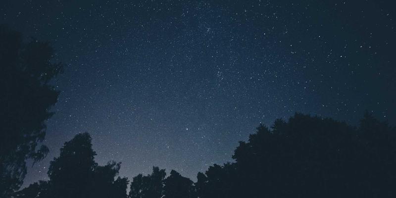 希希美亚‘以油养肤’高阶指南：解锁明星精华油的五种红色主题美容技巧