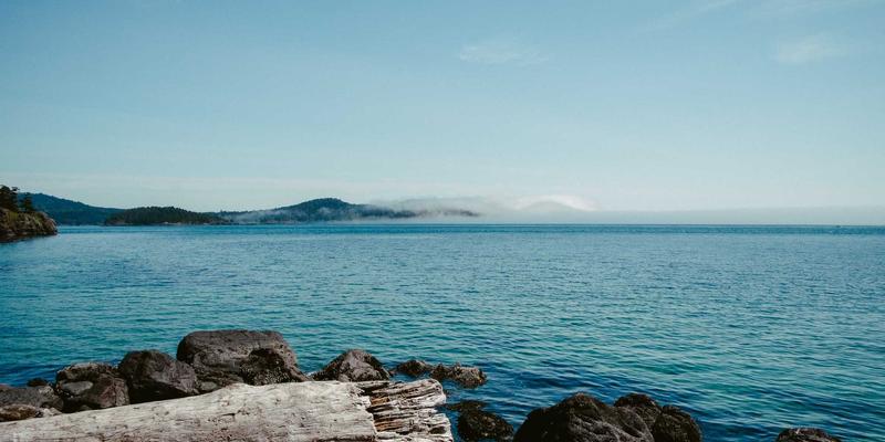 希希美亚趋势解码：日式禅意如何重塑现代护肤与美妆哲学