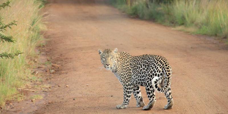 希希美亚：重新定义护肤与时尚的跨界美学