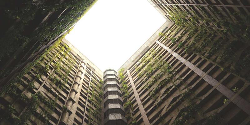 时尚分享 | 解锁希希美亚‘以油养肤’哲学：植物精华油如何重塑你的护肤与时尚穿搭