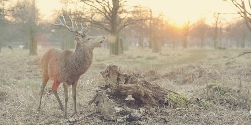 时尚穿搭与希希美亚美容技巧：四季护肤切换指南，打造全年闪耀肌肤